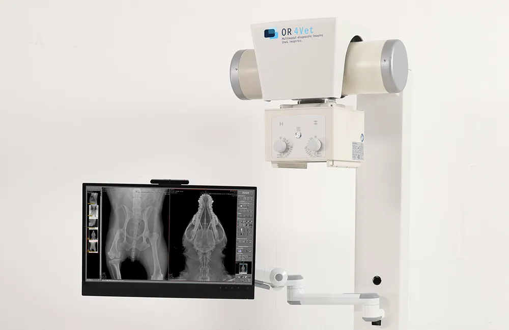 Schwenkbarer Monitor arm für das Amadeo V mini III