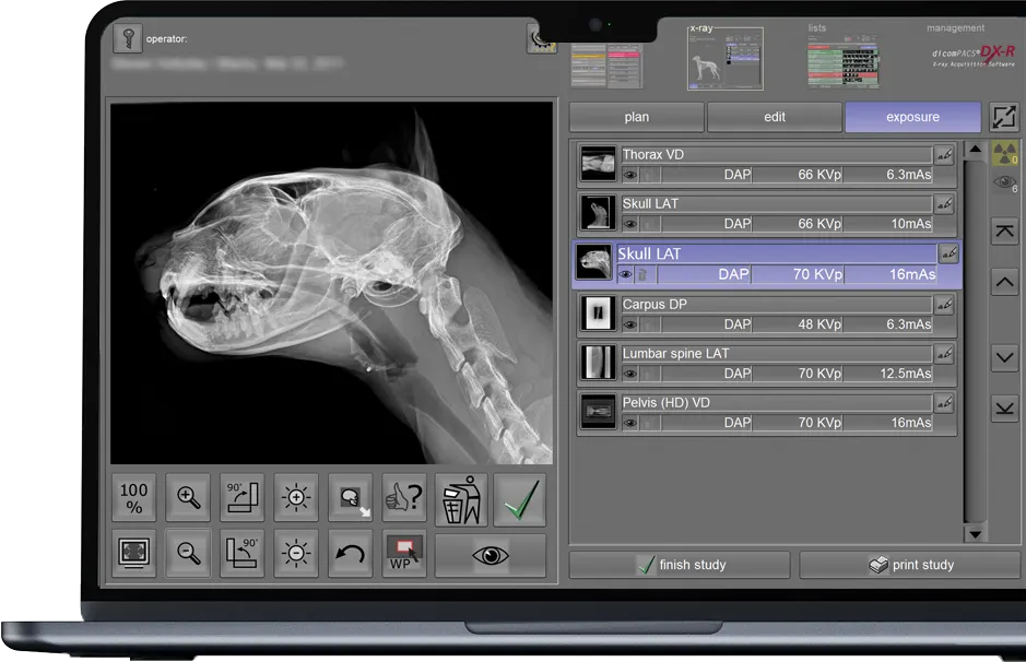 Veterinary digital radiography showing dog skull and X-ray generator parameters