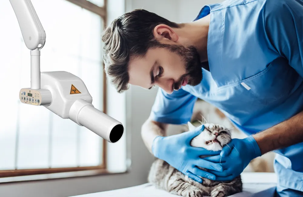 Cat undergoing veterinary dental X-ray examination with generator from side
