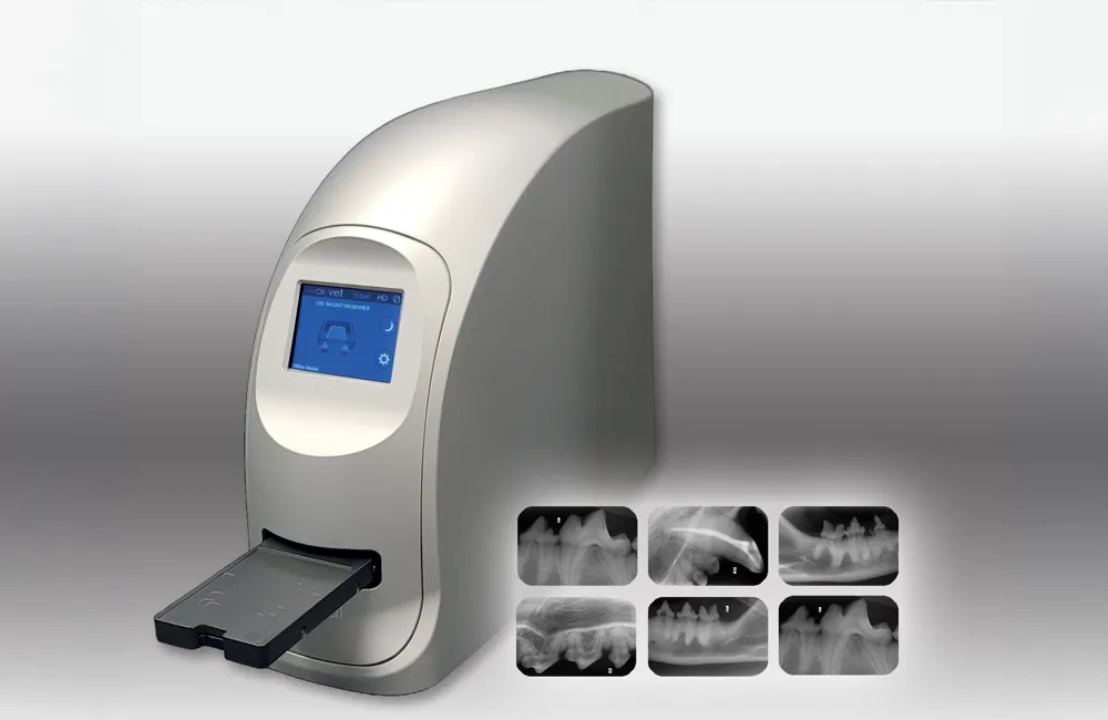 Veterinary digital radiography setup with CR plate reader