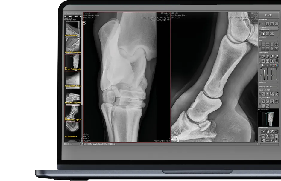 A laptop with high quality X-ray images of a horse on its screen