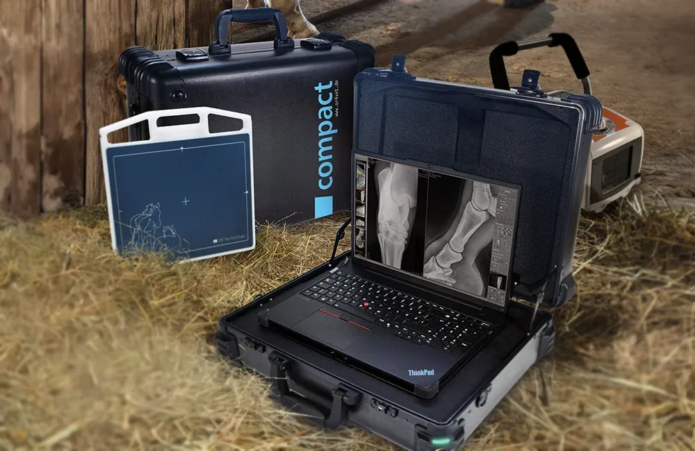 Portable Leonardo Dr compact 3 System for examing horses inside a stable