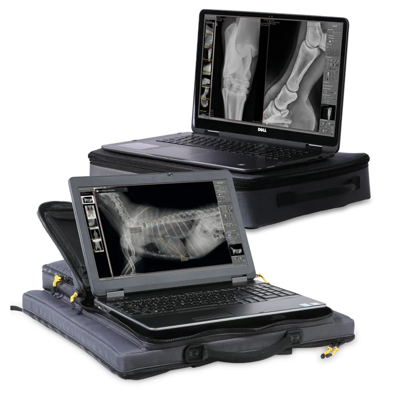 Portable Leonardo DR systems for veterinarians