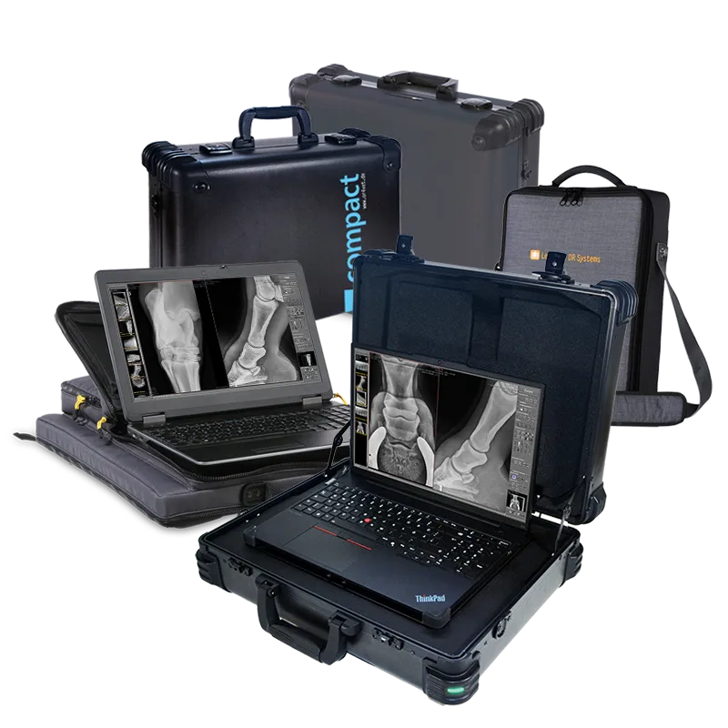 Leonardo DR - veterinary, portable DR systems for mobile radiology