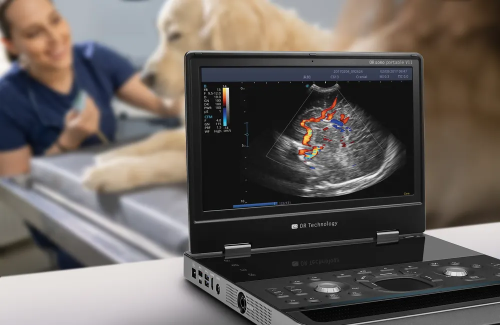 Portable ORsono V11 veterinary ultrasound in front with dog exam scene behind
