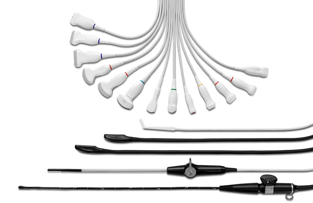 Wide selection of veterinary ultrasound transducers and device accessories