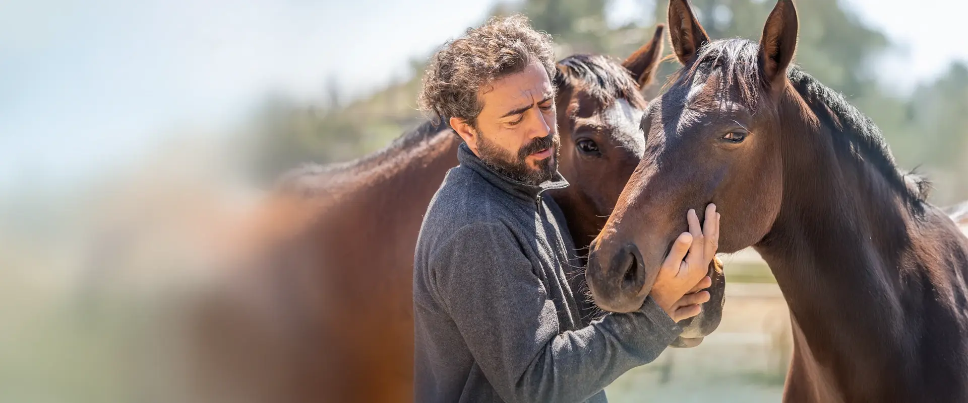 A horse specialist with to horses