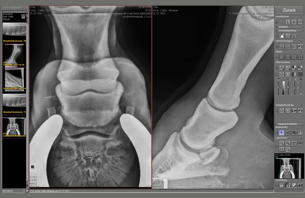 Screenshot of equine hoof X-ray in dicomPACS®DX-R imaging software