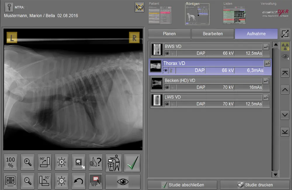 Screenshot of animal X-ray in dicomPACS®DX-R imaging software