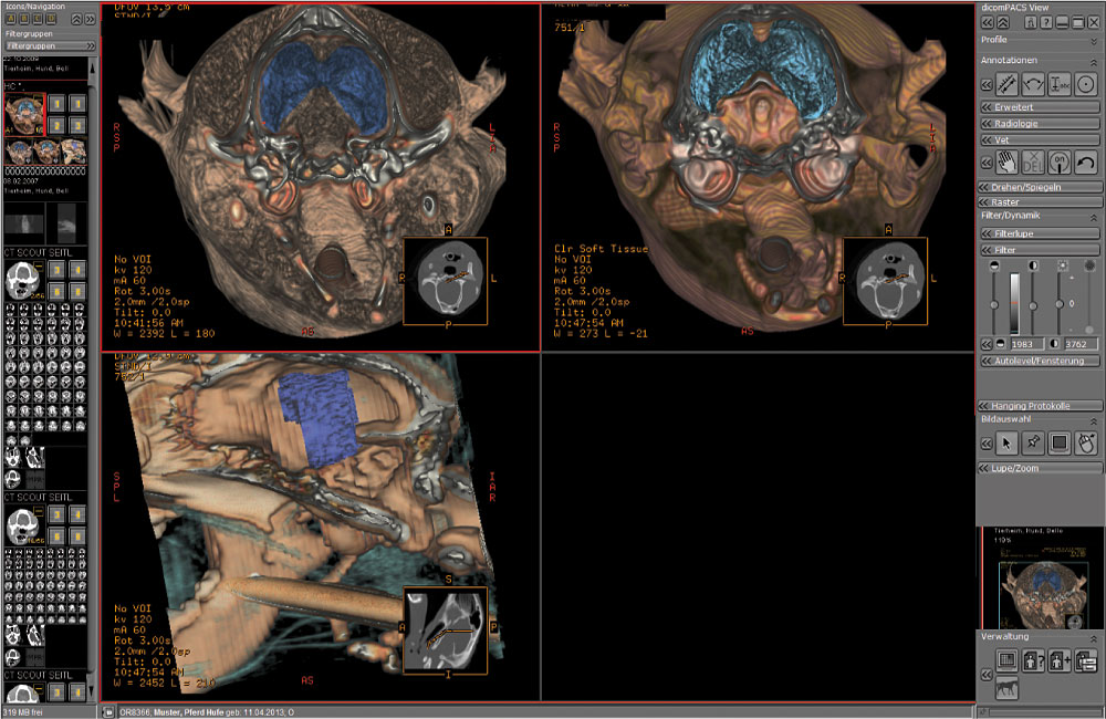 Detailed animal diagnostic image displayed on dicomPACS vet screen