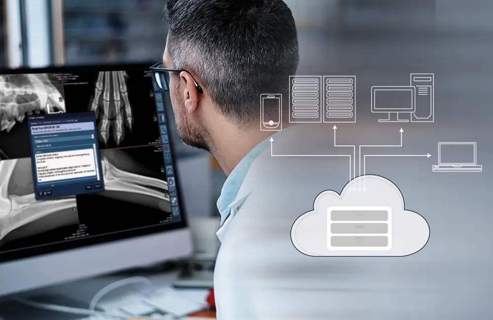 Veterinarian viewing ORCA Cloud software on monitor