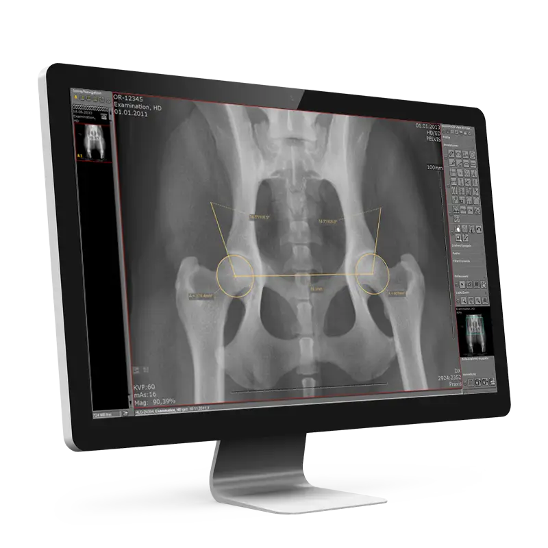 dicomPACS para gestión de imágenes de distintas modalidades en veterinaria