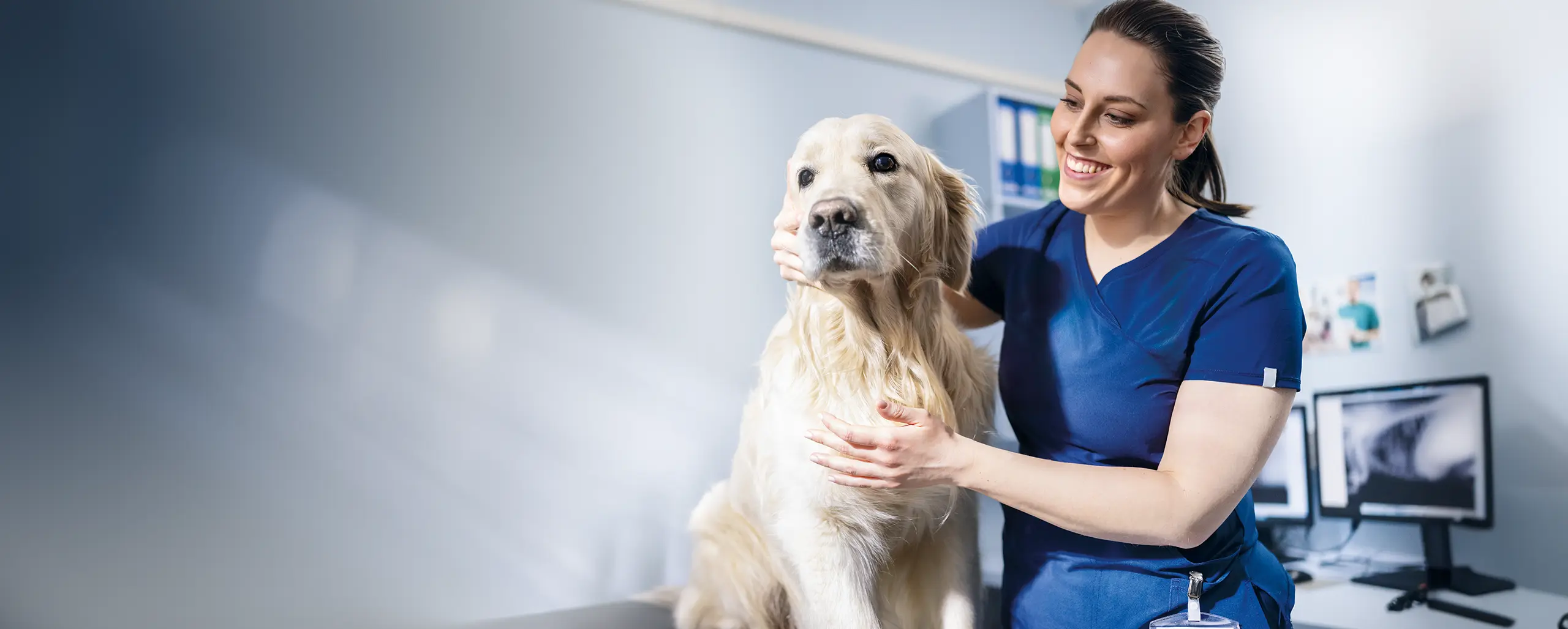 Vétérinaire réalisant un examen diagnostique sur un chien dans une clinique vétérinaire