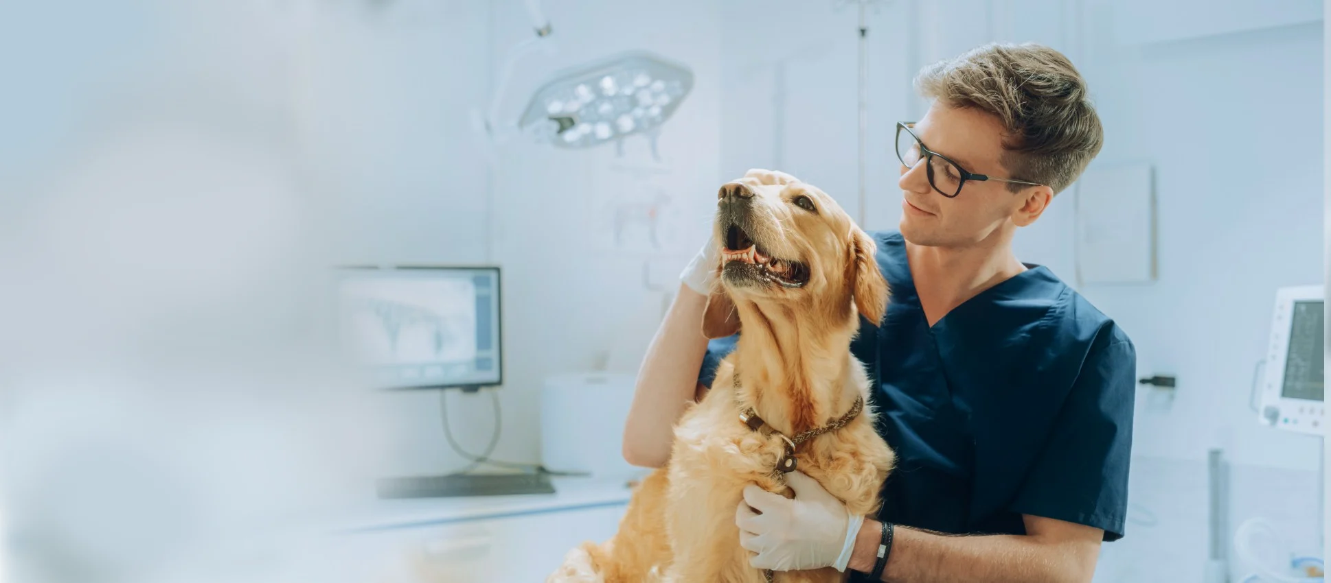 OR 4vet your partner for x-ray, CT, ultrasound and imaging software