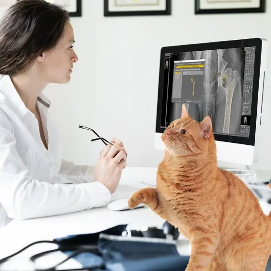 dicomPACS - the imaging solution for veterinarians