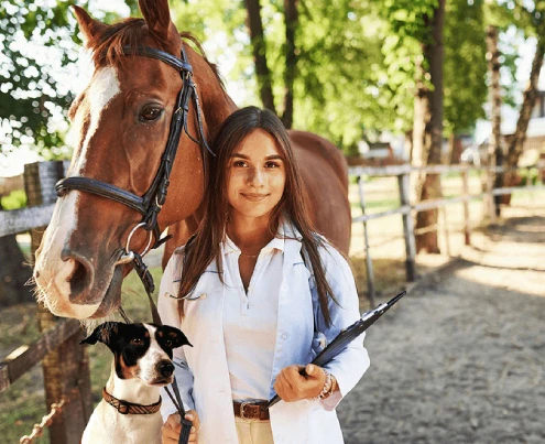 veterinary specialist